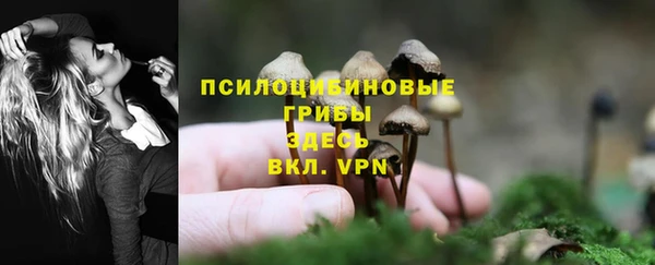 ALPHA PVP Балабаново