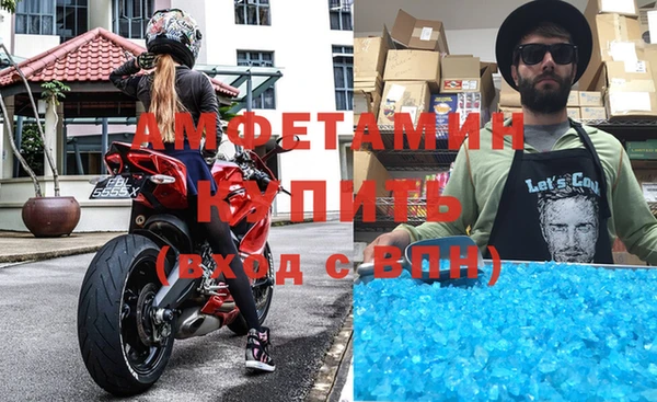ГАЛЛЮЦИНОГЕННЫЕ ГРИБЫ Аркадак