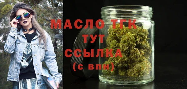 МДПВ Снежногорск