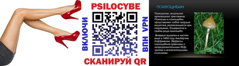 Псилоцибиновые грибы Cubensis Знаменск