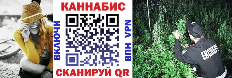 где купить наркоту  Знаменск  МАРИХУАНА White Widow 